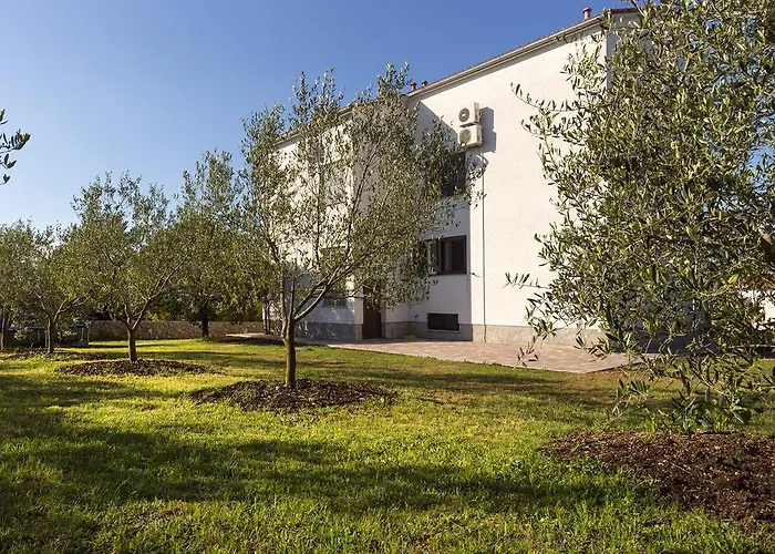 Apartmán Renata Pinezići